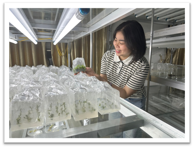 Hành trình đến với khoa Sinh học – Trường Đai học Sư phạm Hà Nội 2: Nơi nuôi dưỡng tinh thần học thuật và khát vọng nghiên cứu